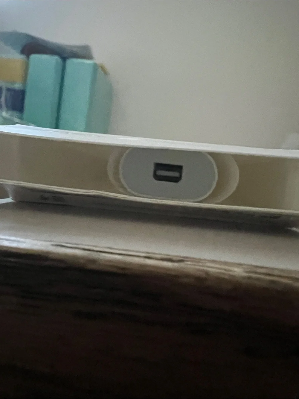 NWT Apple Thunderbolt 3 (USB-C) to Thunderbolt 2 Adapter.